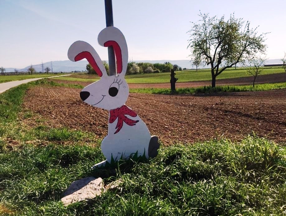 Hase Feld.jpg