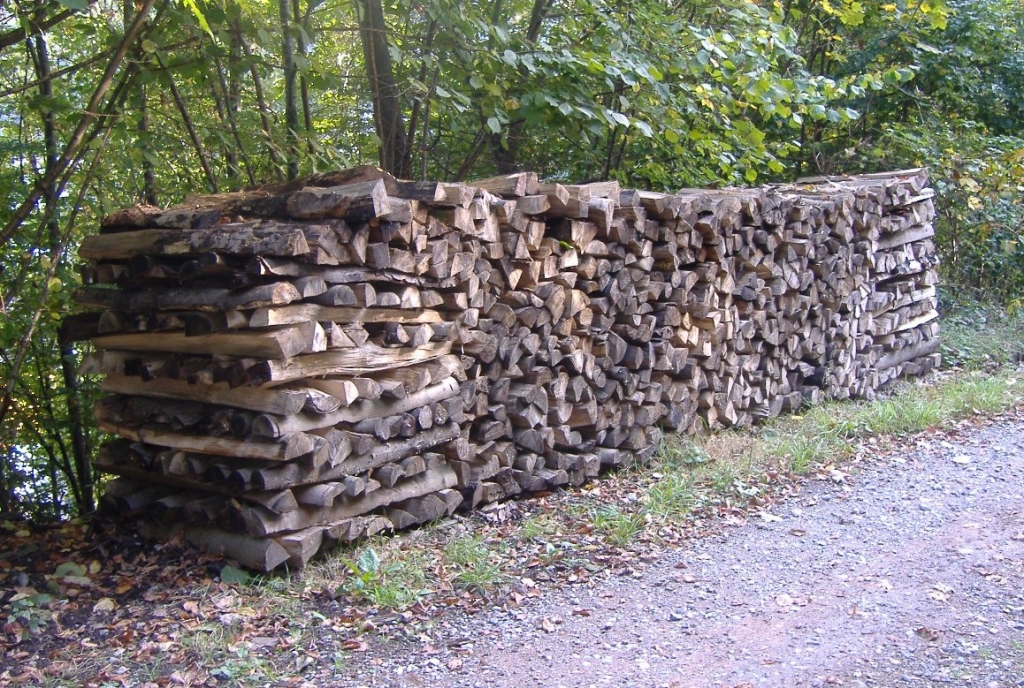 Brennholz, das im Wald lagert. Foto Kreisforstamt Brennholz, das im Wald lagert. Foto Kreisforstamt