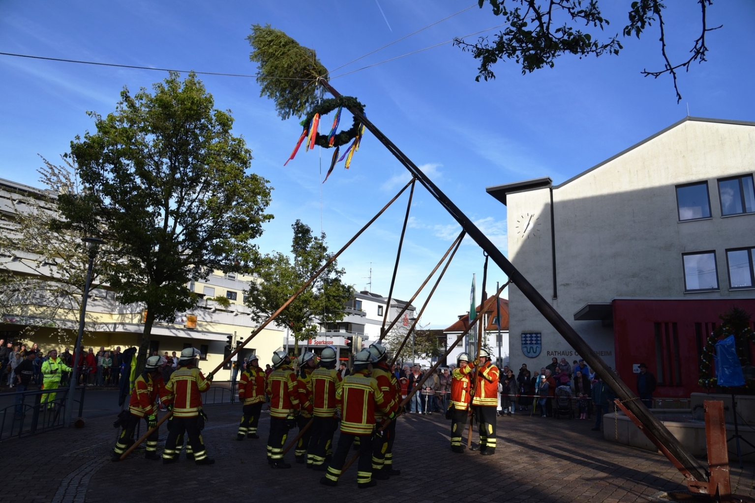 Die Feuerwehrleute zogen mit vereinbarten Kräften den Maibaum hoch.