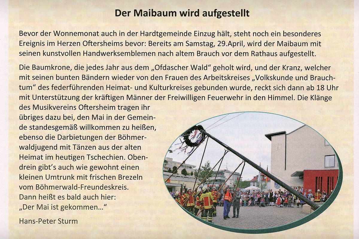 Maibaum 01.jpg