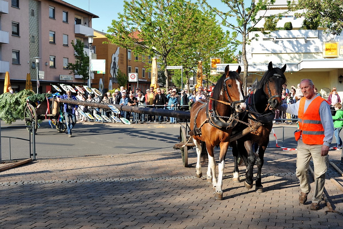 Maibaum 04.jpg