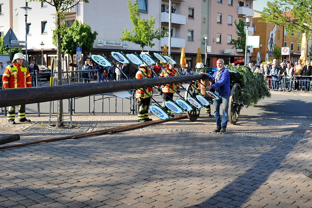 Maibaum 05.jpg