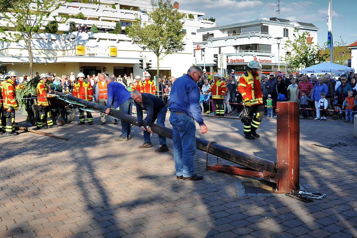 Maibaum 06.jpg