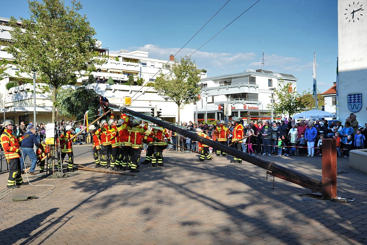 Maibaum 07.jpg