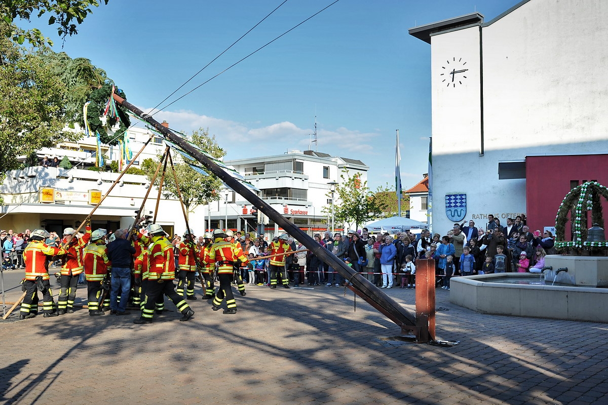 Maibaum 08.jpg