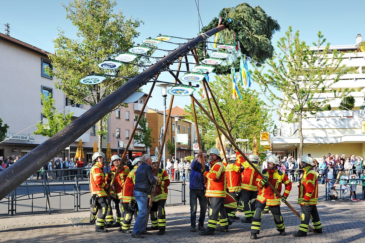 Maibaum 09.jpg