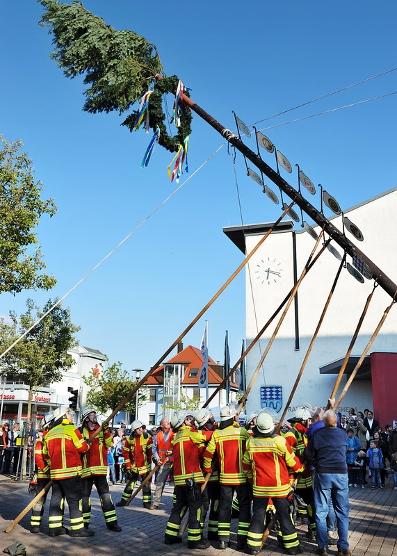 Maibaum 10.jpg