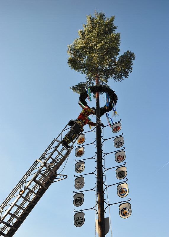 Maibaum 11.jpg