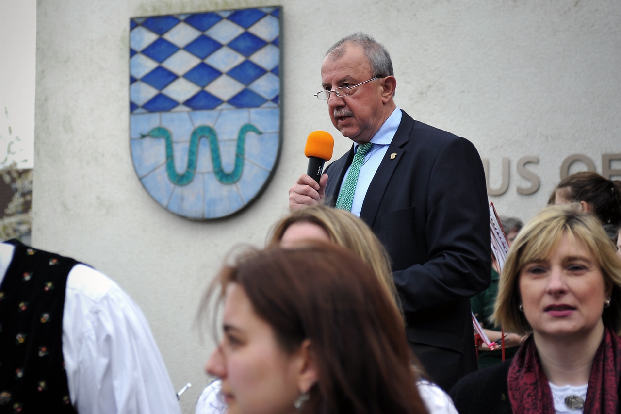 maibaum_02.jpg