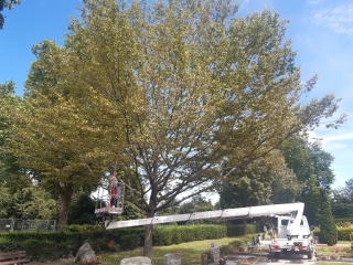 Arbeiten einem Baum auf dem Friedhof. Arbeiten einem Baum auf dem Friedhof.