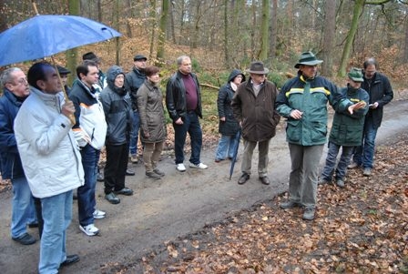 Waldbegehung Waldbegehung