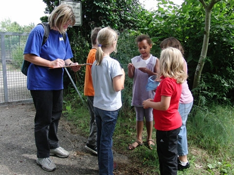 4313 img 005.jpg