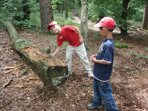 4313 img 002.jpg