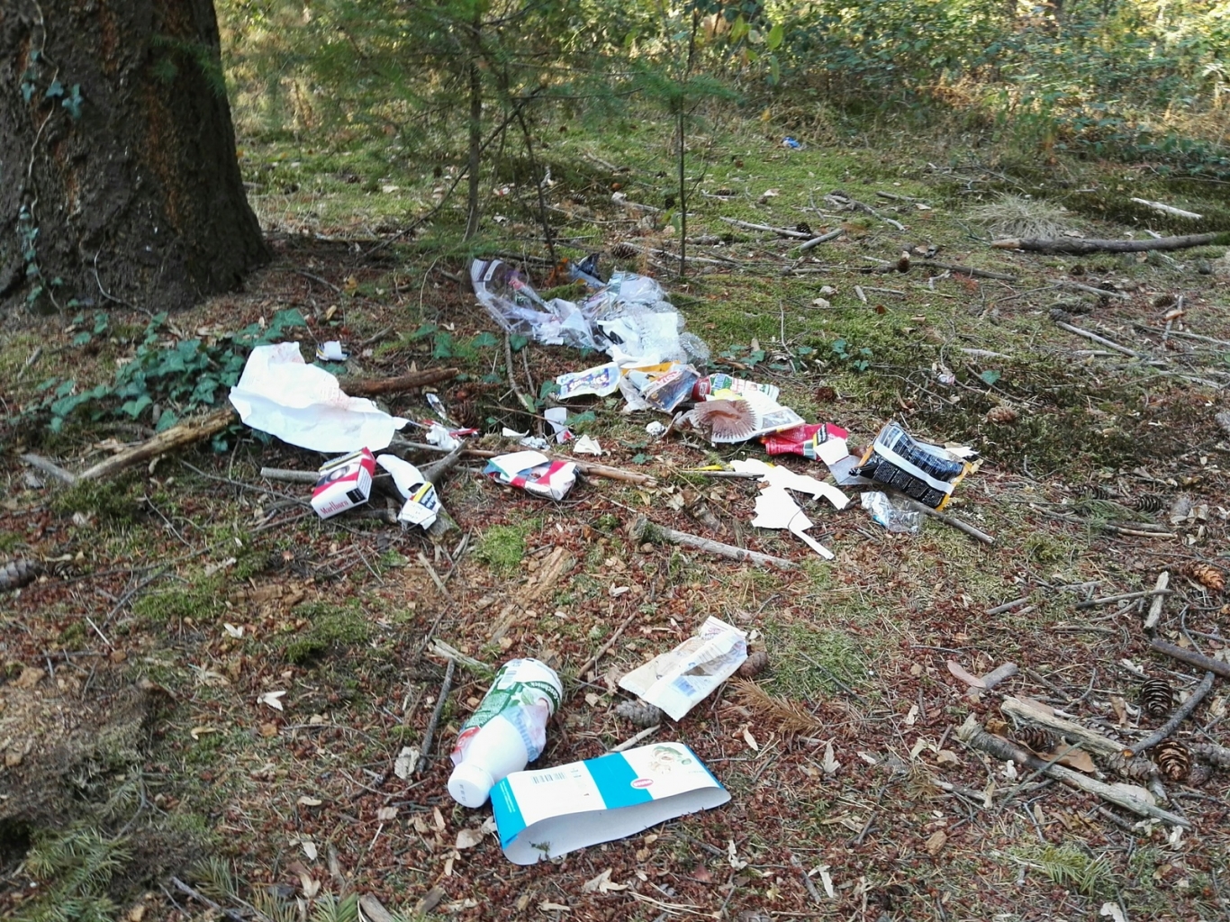 Müll Wald 1.jpg