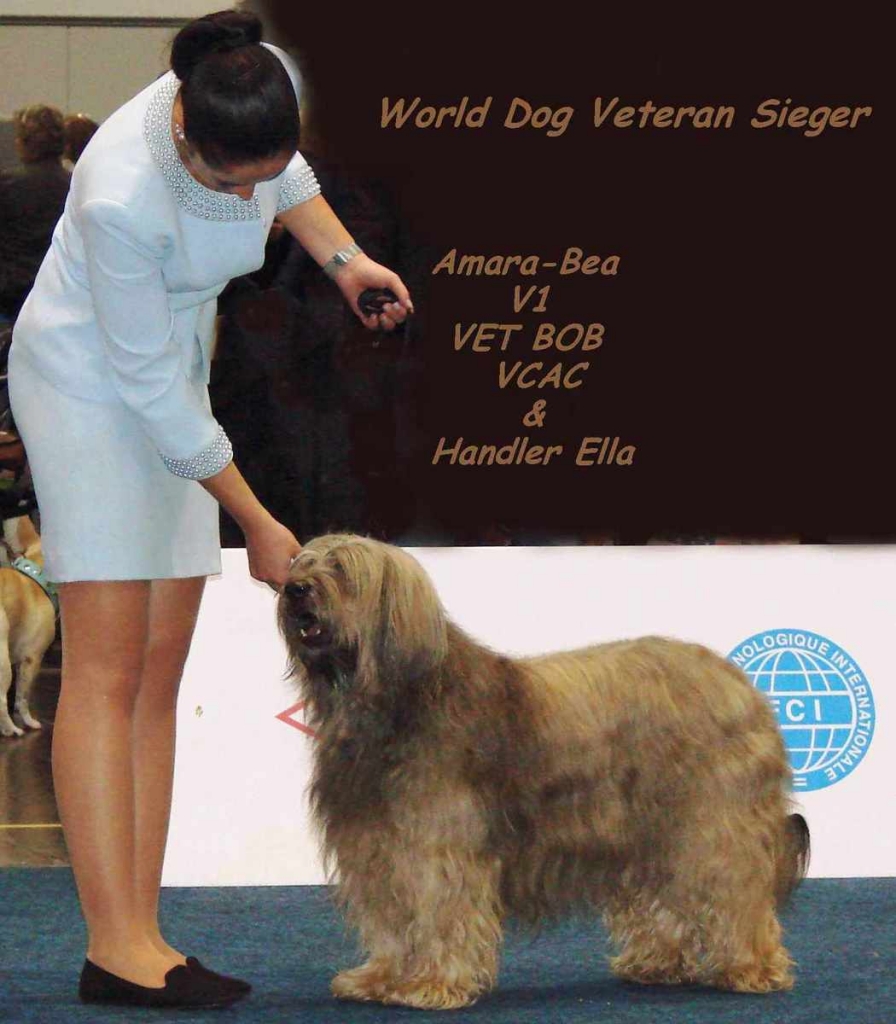 Hundefriseur.jpg