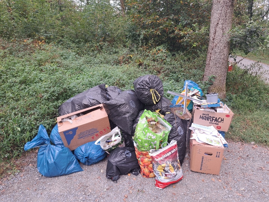 Unbekannte haben illegal Müll im Wald entsorgt. Unbekannte haben illegal Müll im Wald entsorgt.