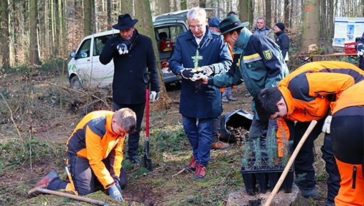 Baumpflanzung Baumpflanzung