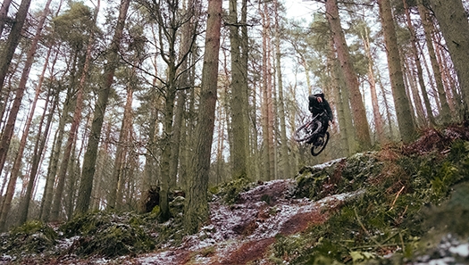 Mountainbiker im Wald Mountainbiker im Wald