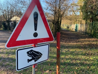 Hinweisschild zur Krötenwanderung in Oftersheim Hinweisschild zur Krötenwanderung in Oftersheim
