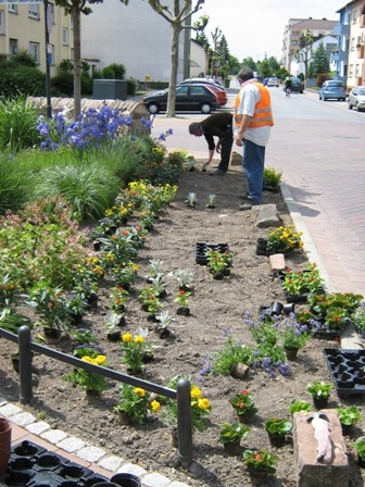 Blumenschmuck Blumenschmuck
