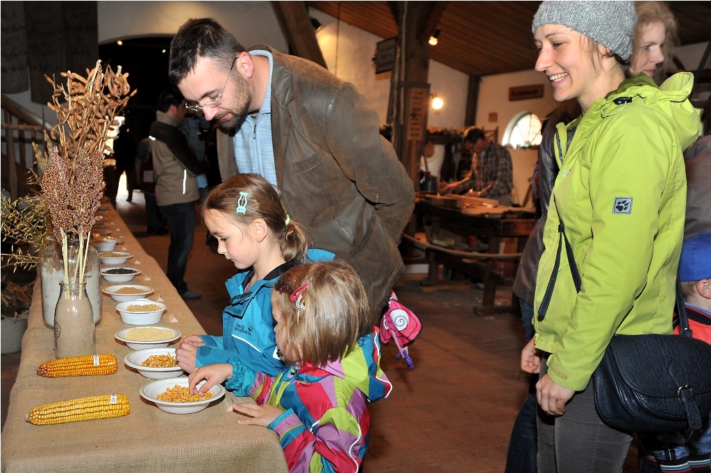 Museumstag 2015 (Foto: Deinert)