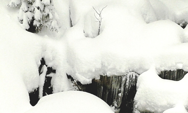 wagrain 2015 02.jpg