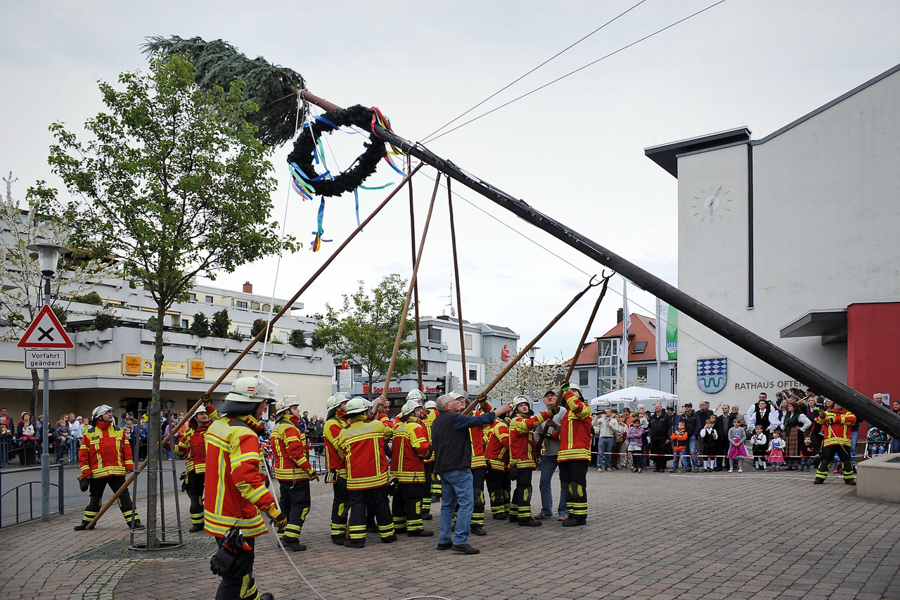 0430_maibaum_14.jpg