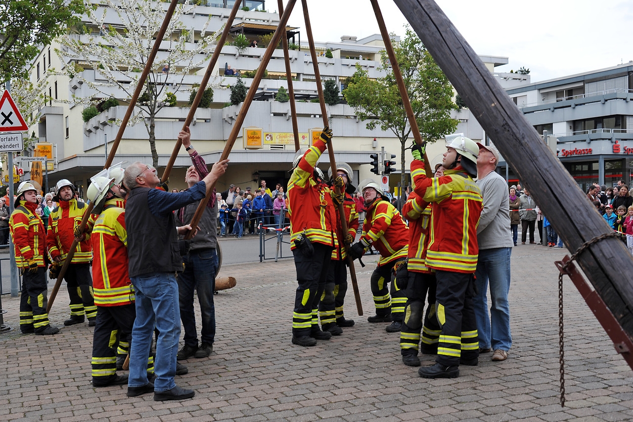 0430_maibaum_16.jpg