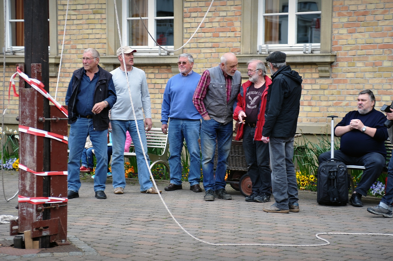 0430_maibaum_29.jpg