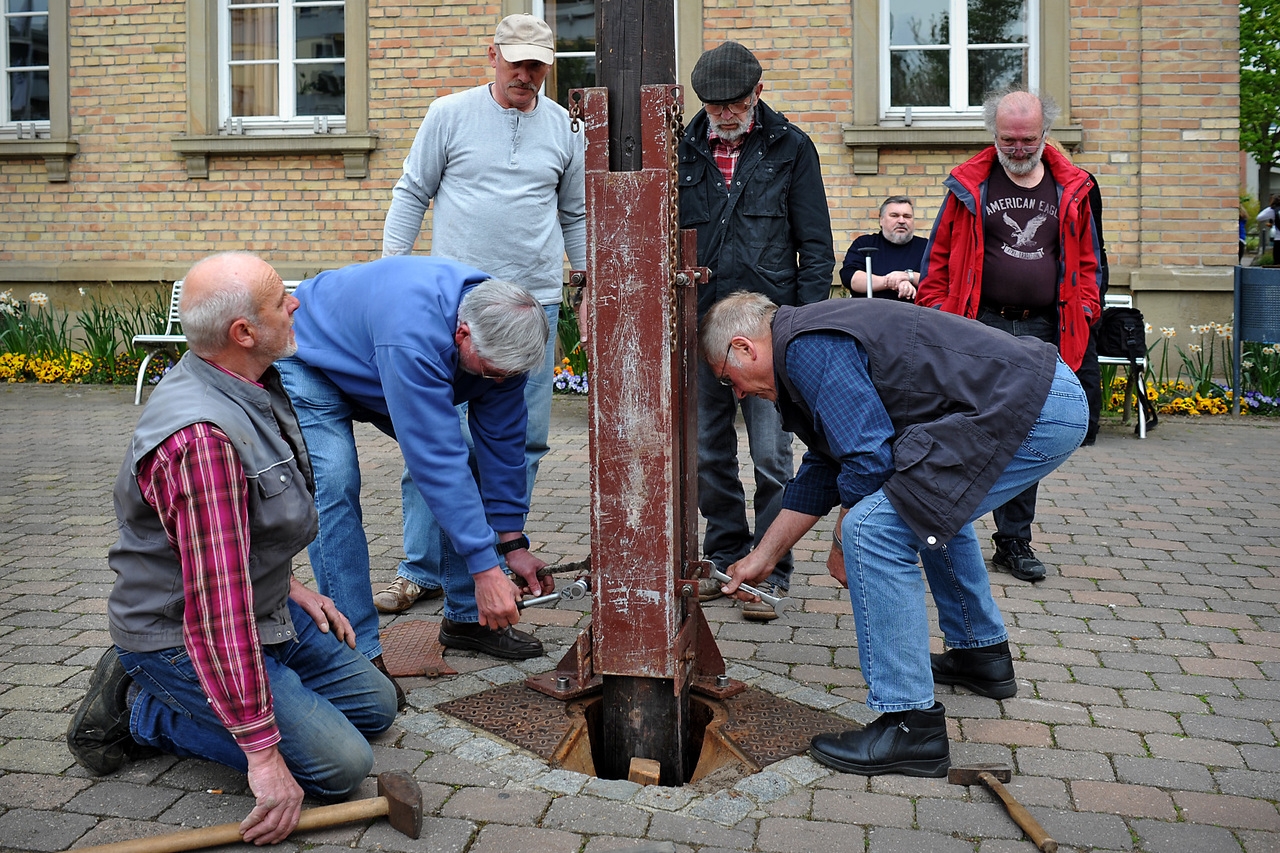0430_maibaum_23.jpg