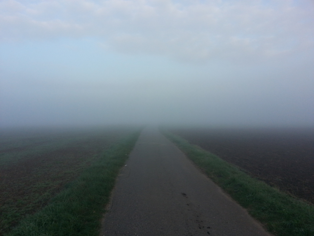 Feldweg im Nebel Feldweg im Nebel