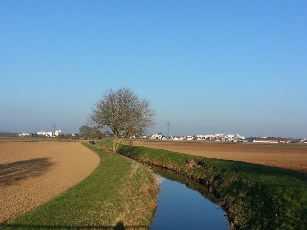 Leimbach Leimbach