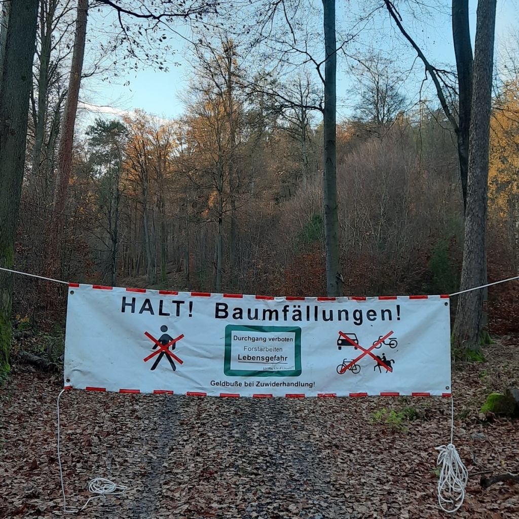 Sperrbanner im Wald, Bild Kreisforstamt Sperrbanner im Wald, Bild Kreisforstamt