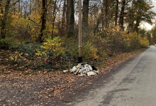 Unter anderem wurde auch ein Haufen Styropor illegal im Wald entsorgt. Unter anderem wurde auch ein Haufen Styropor illegal im Wald entsorgt.