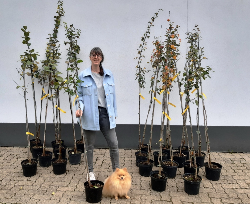 Eine von 50: Meike Kirch hat sich einen Pflaumenbaum gewünscht und ihn im Bauhof abgeholt. Eine von 50: Meike Kirch hat sich einen Pflaumenbaum gewünscht und ihn im Bauhof abgeholt.