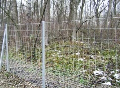 Wildschutzzäune Wildschutzzäune