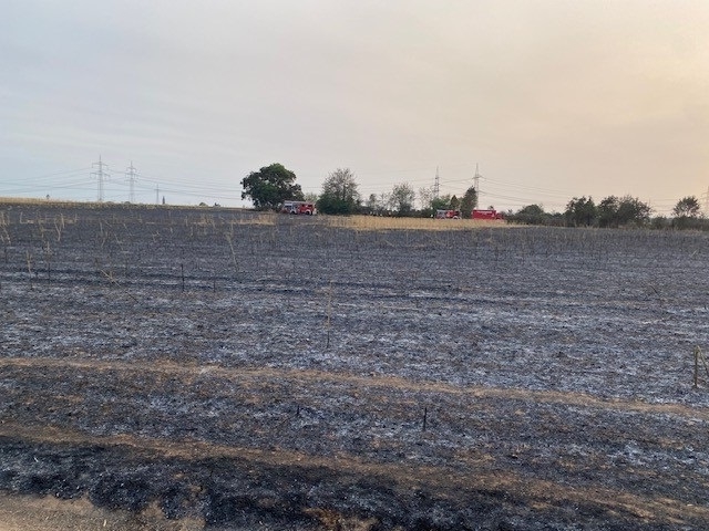 verbranntes Feld.jpg verbranntes Feld.jpg