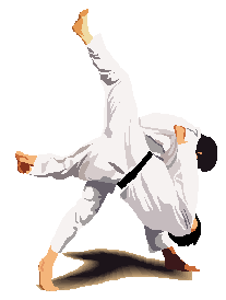 Judo - stilisierter Wurf Judo - stilisierter Wurf