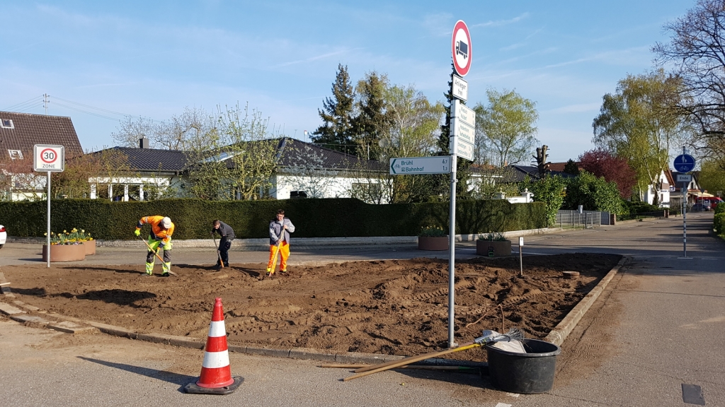 Blumenwiese Bauhof.jpg Blumenwiese Bauhof.jpg