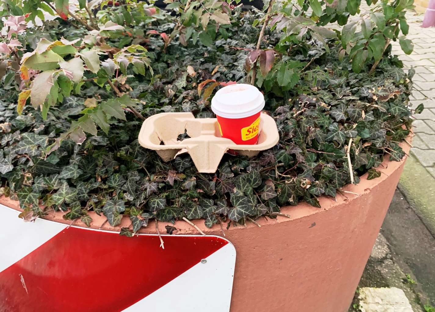 Einmal-Getränkeverpackungen im Blumenkübel entsorgt.