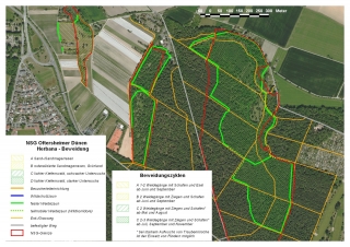 Plan der Beweidung auf den Oftersheimer Dünen in 2023 Plan der Beweidung auf den Oftersheimer Dünen in 2023