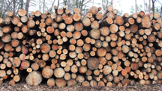 Holzstapel Holzstapel