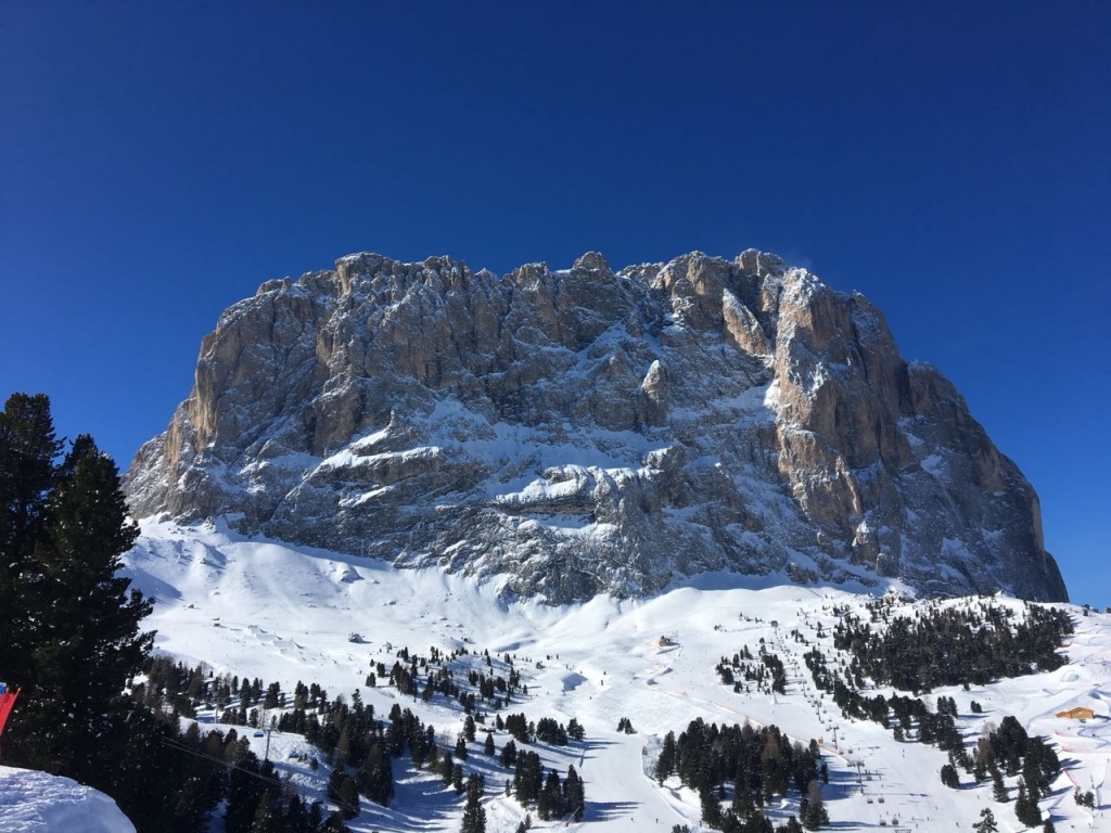 IMG-20180211-WA0018.jpg IMG-20180211-WA0018.jpg