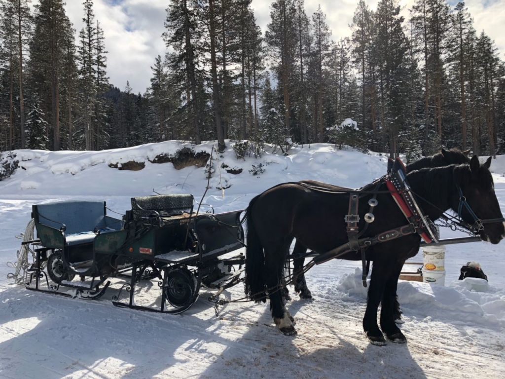 IMG-20180213-WA0018.jpg IMG-20180213-WA0018.jpg