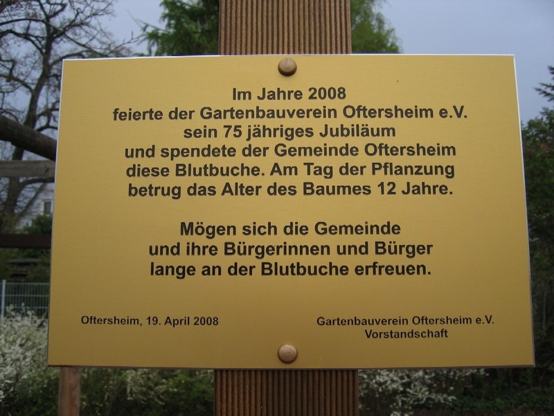 Erinnerungstafel wurde enthüllt 1 Erinnerungstafel wurde enthüllt 1
