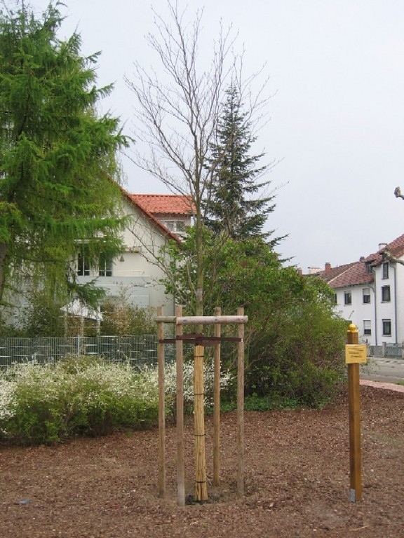 Erinnerungstafel wurde enthüllt 3 Erinnerungstafel wurde enthüllt 3