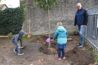 Ein Apfelbaum auf dem Schulhof: Bauhofleiter Jochen Barisch mit Schulkindern, die den Baum eingraben. Ein Apfelbaum auf dem Schulhof: Bauhofleiter Jochen Barisch mit Schulkindern, die den Baum eingraben.