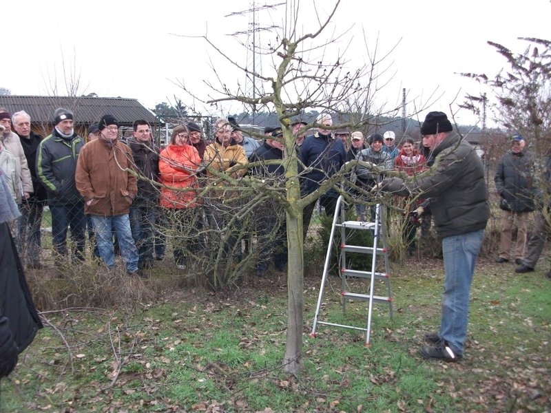 Obstbaumeister Peter Burger schnitt gut ab Obstbaumeister Peter Burger schnitt gut ab