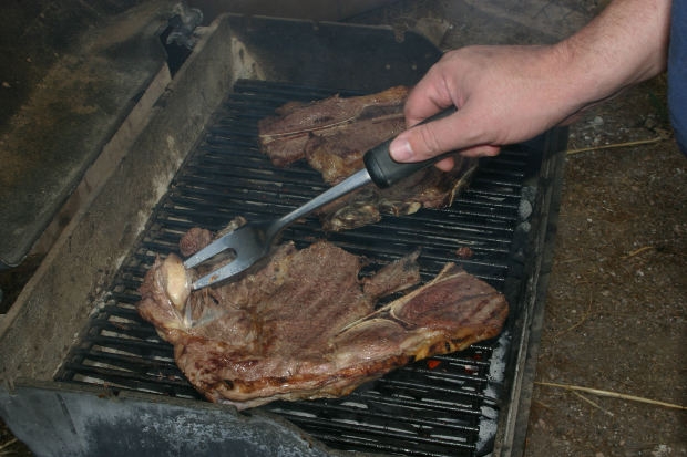 Grillen Grillen