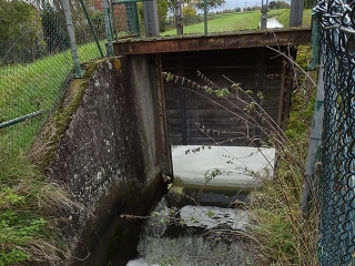 Sohlabsturz am Leimbach.jpg Sohlabsturz am Leimbach.jpg